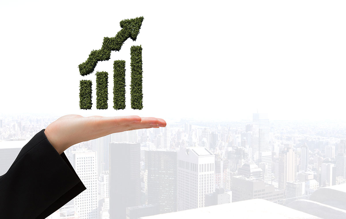 RAISING CAPITAL THROUGH AN IPO IN THE U.S.