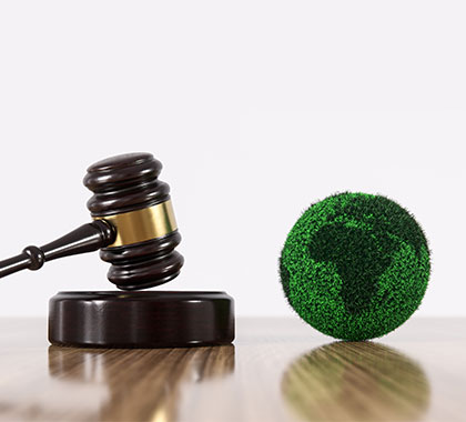 Environmental and Sustainability